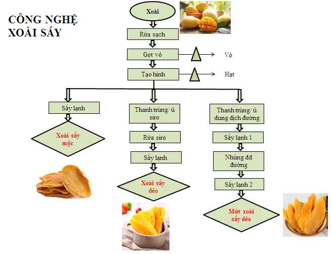 Tìm hiểu quy trình sản xuất trái cây sấy khô