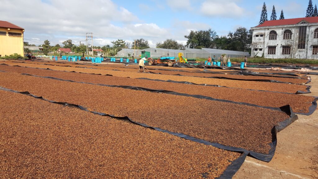 OEM Coffee Solutions Why HUCAFOOD is the Ideal Partner for Your Coffee Brand