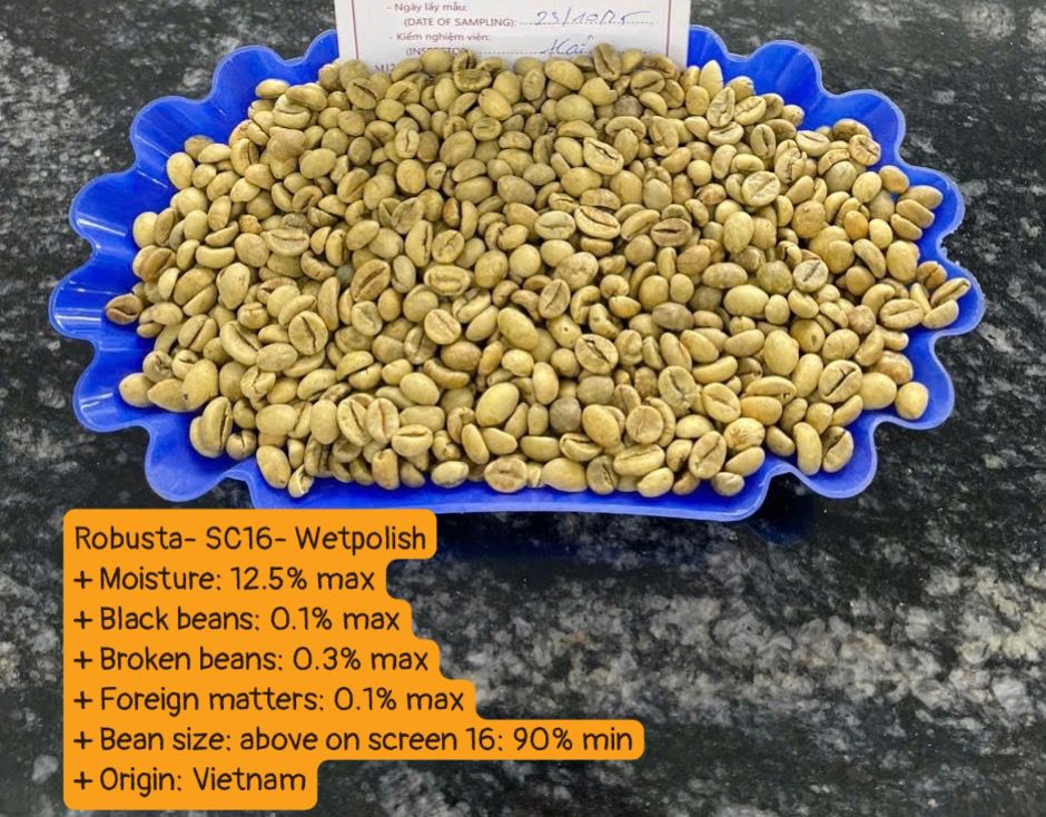 Vietnam green coffee beans 05