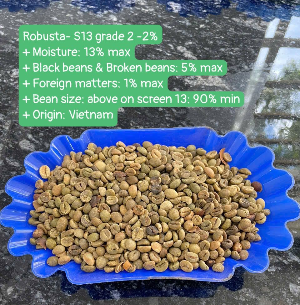 Vietnam green coffee beans 01