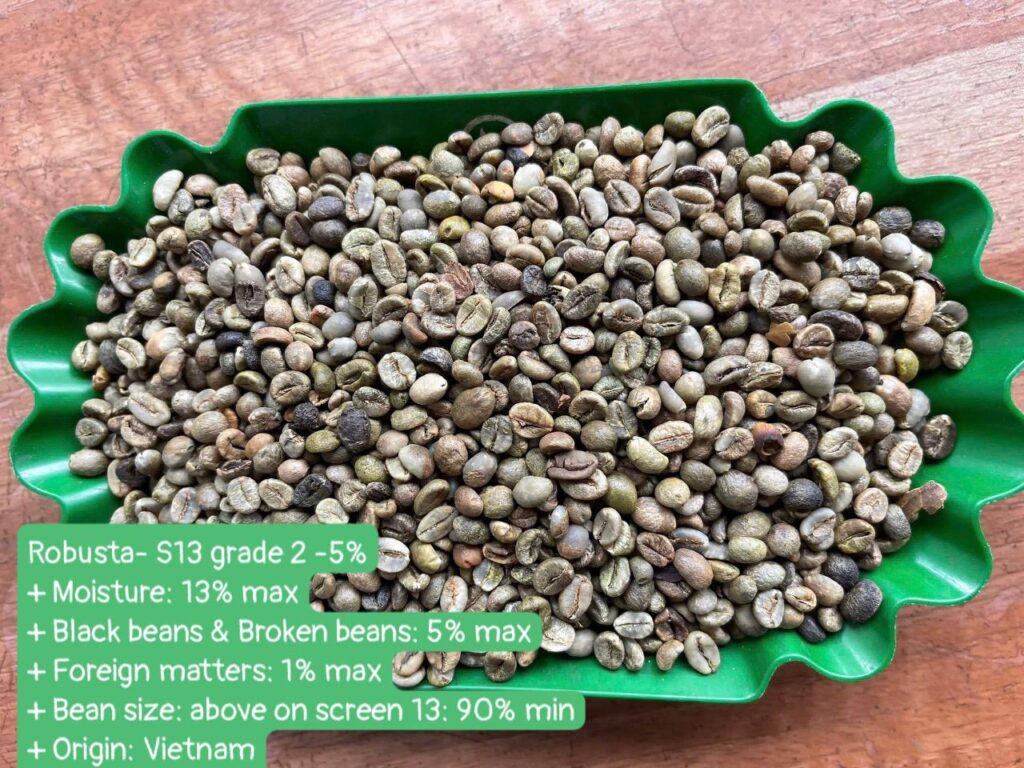 Vietnam green coffee beans 02