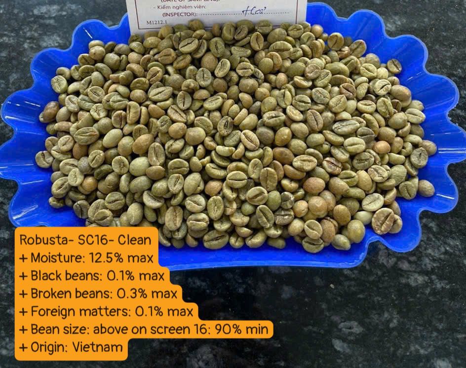 Vietnam green coffee beans 04